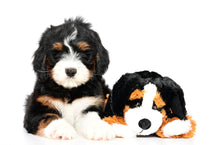 Load image into Gallery viewer, Swissridge Scent Puppy