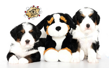 Load image into Gallery viewer, Swissridge Scent Puppy