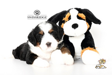 Load image into Gallery viewer, Swissridge Scent Puppy
