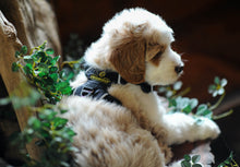 Load image into Gallery viewer, Swissridge Ultimate Harness