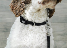 Load image into Gallery viewer, Swissridge Ultimate Training Collar