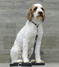 Load image into Gallery viewer, Swissridge Ultimate Leash Package