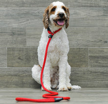 Load image into Gallery viewer, Swissridge Ultimate Leash Package