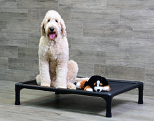 Load image into Gallery viewer, Swissridge Canine Placemat