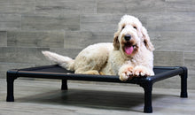 Load image into Gallery viewer, Swissridge Canine Placemat
