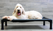 Load image into Gallery viewer, Swissridge Canine Placemat