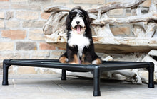 Load image into Gallery viewer, Swissridge Canine Placemat