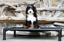Load image into Gallery viewer, Swissridge Canine Placemat