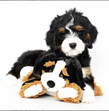 Load image into Gallery viewer, Swissridge Scent Puppy