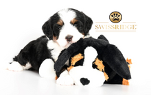 Load image into Gallery viewer, Swissridge Scent Puppy
