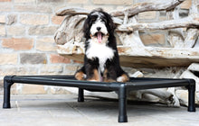 Load image into Gallery viewer, Swissridge Canine Placemat
